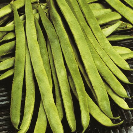 Unbranded Runner Bean White Swan Seeds Average Seeds 50