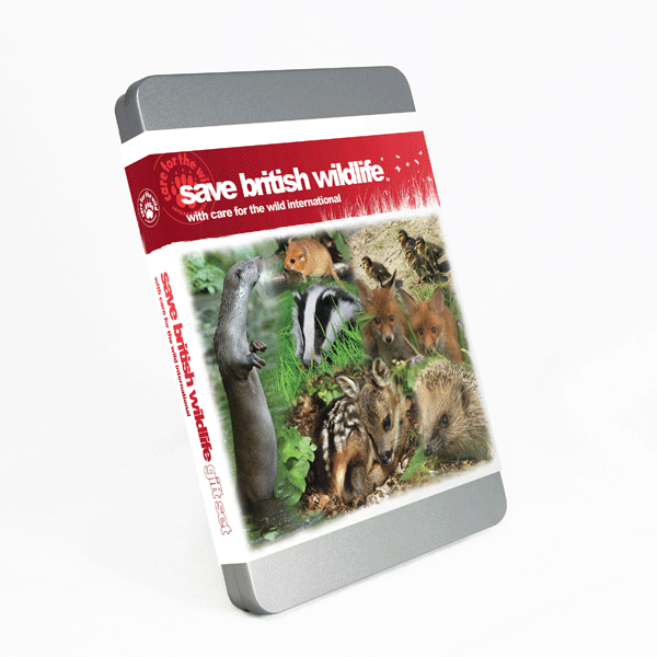 Unbranded Save British Wildlife Gift Pack