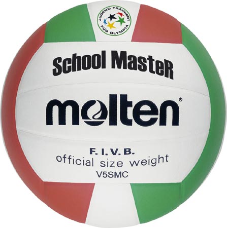 School Master Molten Volleyball