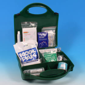 Unbranded School Trip First Aid Kit