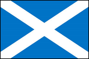 Unbranded Scottish Flag bunting, 10mtrs