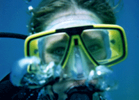 Scuba Diving Open Water Diving Course