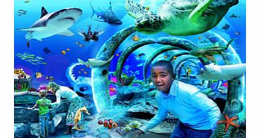 SEA LIFE London Aquarium is home to one of Europes largest collections of global marine life and the jewel in the crown of the 32 SEA LIFE attractions in the UK and Europe. Situated in the heart of London, the experience takes visitors on an immersiv