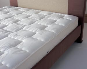 Sealy Bedstead Deluxe Unique Sealy foam encapsulat