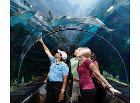 This is SeaWorld - the worlds best loved marine park! Take a seat at the sensational shows including One Ocean starring Shamu, enjoy up-close animal encounters and take the plunge on the thrilling rides.