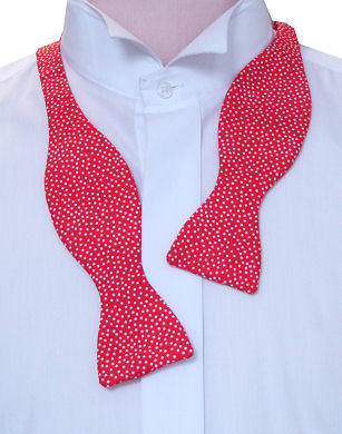 Unbranded Self-Tie White Dots Red Bow Tie