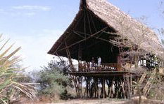 This is superb fly-in trip enables you to visit remote Selous Game Reserve. From 