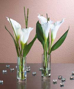 3 calla lillies per vase. Approx size (H)27, (W)17, (D)9cm