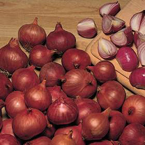 These shallots can be grown straight from seed and produce tasty shallots that caan be stored for mo