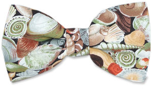 Unbranded Shell Bow Tie