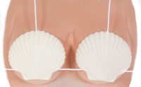 For mermaids and hawaiian beauties.  A bikini top fashioned from scallop shells
