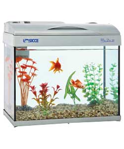 Indoor aquarium for coldwater fish including lighting and filtration system. Suitable for approximat