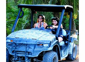 Discover Punta Cana aboard one of our fun and modern boogies. Visit a beautiful, unspoiled beach and spend some time relaxing in an ecological reserve.
