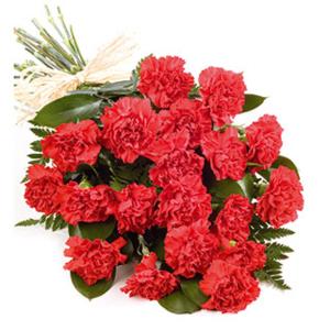 Unbranded Simply Carnations - Flowers by Post