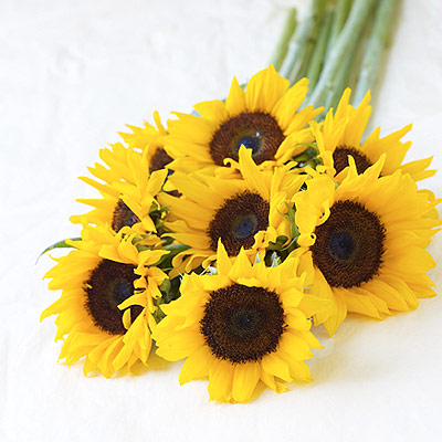 Unbranded simply Fairtrade Sunflowers