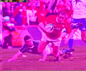 Unbranded Six Nations / Wales v Ireland