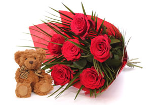 Unbranded Six Red Roses and Teddy