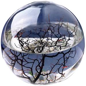 Invented by NASA Scientists, The Ecosphere is the Worlds first totally enclosed Ecosystem