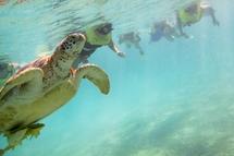 Unbranded Snorkelling Adventure from Riviera Maya - Child