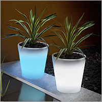 Solar Powered Plant Pot (Colour Changing)