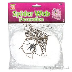 Spider Web - with spider