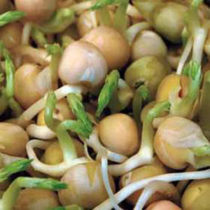 Unbranded Sprouting Seeds Green Peas