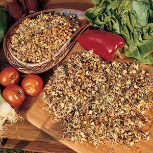 Unbranded Sprouting Seeds Sandwich Mix