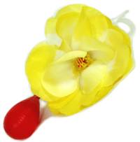 The all time classic squirt flower which you pin to your lapel. Invite someone to smell it and then