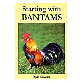 Unbranded Starting with Bantams