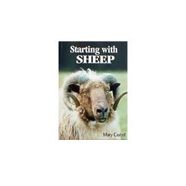 Unbranded Starting With Sheep