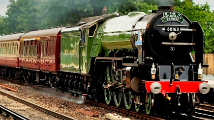 Unbranded Steam Train Journey to Ely Two