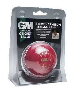 Unbranded Steve Harmison Skills Ball