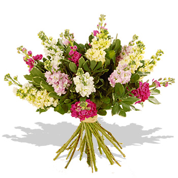 Unbranded Stocks Bouquet - flowers