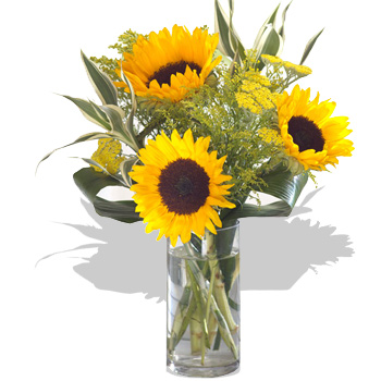 Unbranded Sunflower Delight - flowers