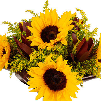 Unbranded Sunflower Safari - flowers