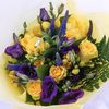 Unbranded Sunny Days Freesia Bouquet