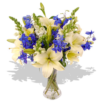 Unbranded Sweet Blue - flowers