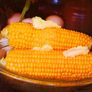 Unbranded Sweet Corn Early Xtra Sweet F1 Seeds
