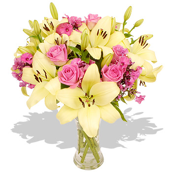 Unbranded Sweetness with FREE Bulbs - flowers