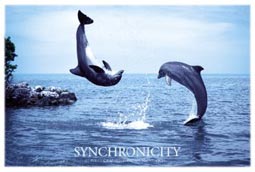 Synchronicity Poster