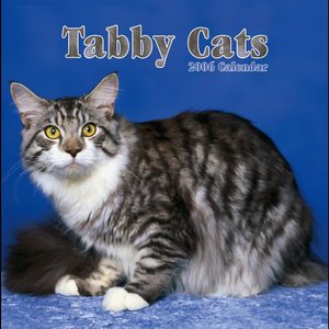 Tabby Cats Calendar
