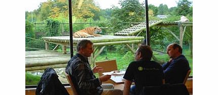 Take tea with the big cats at Paradise Wildlife Park! Join lions, tigers, cheetahs, jaguars, snow leopards and white lions for a slap-up afternoon tea of scones with jam and cream, sandwiches, cakes, and a nice refreshing pot of tea or coffee. Dont 