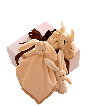 Unbranded Teddy Bear - Rabbit Gift Set A