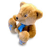 The fun way to listen to the radio! This loveable plush Teddy Bear Radio plays all the current hits,
