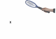 This electric bug swatter kills/electrocutes all flying insects such as mosquitos, flies, gnats on c