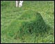 Terra Grass Armchair
