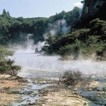 Discover the natural beauty, learn local legend and explore the geothermal wonderland that make Roto