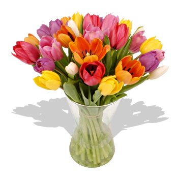 Unbranded Thirty Mixed Tulip Bouquet - flowers