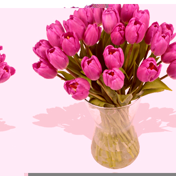 Unbranded Thirty Purple Tulips - flowers