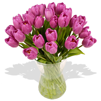 Unbranded Thirty Purple Tulips Bouquet - flowers